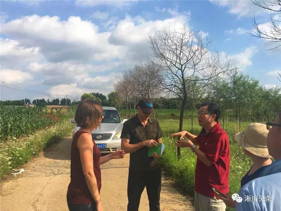 淅川来了仨“老外”，干啥？