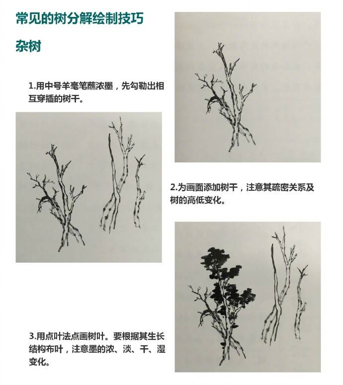 零基础学国画树干的画法视频,零基础画树教程