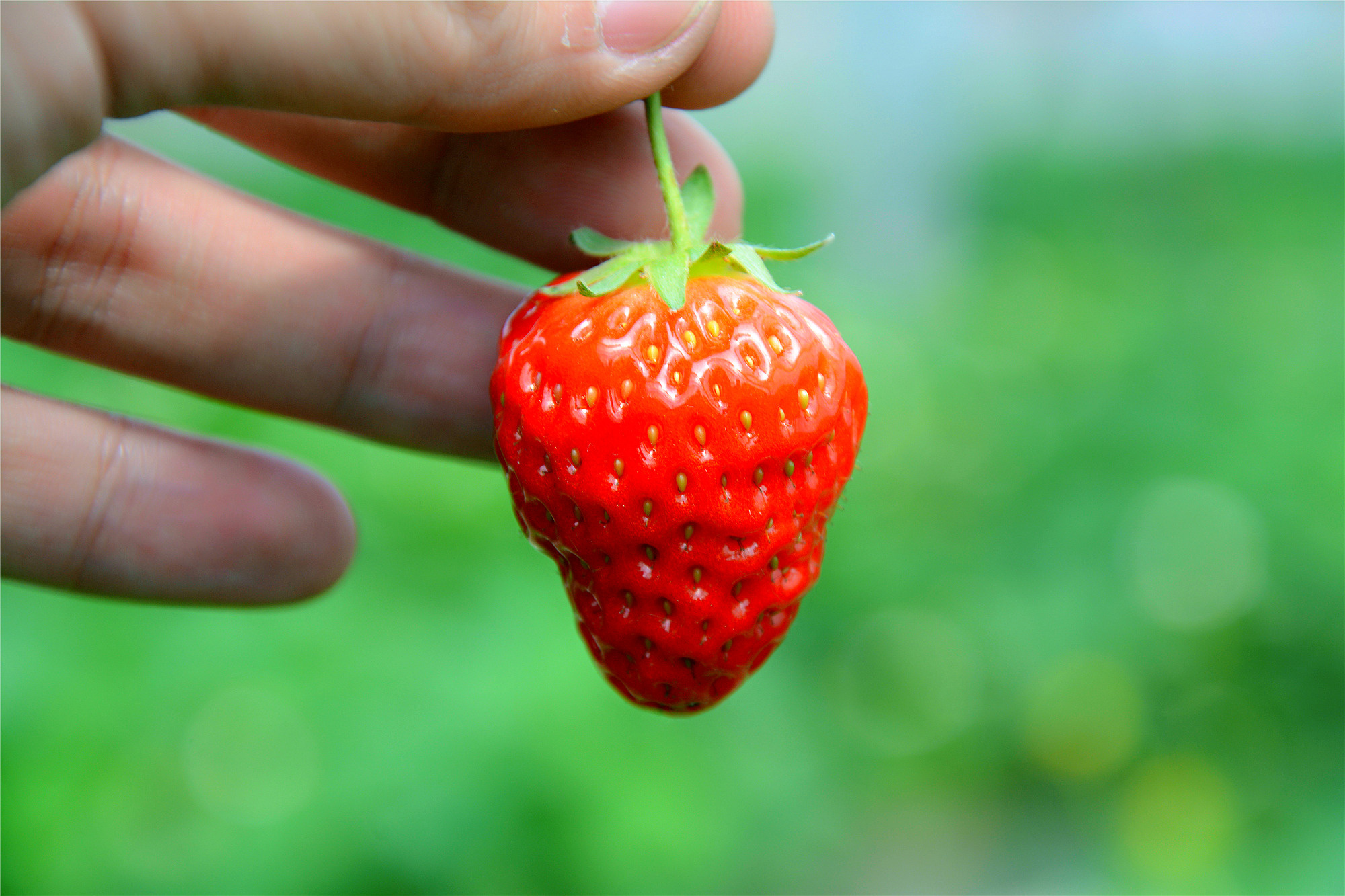 苏州哪些景点可以看小桥流水,只有老苏州人才知道的小众景点