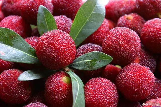 杨梅别只用清水洗教你正确方法,杨梅怎么吃是正确的方法
