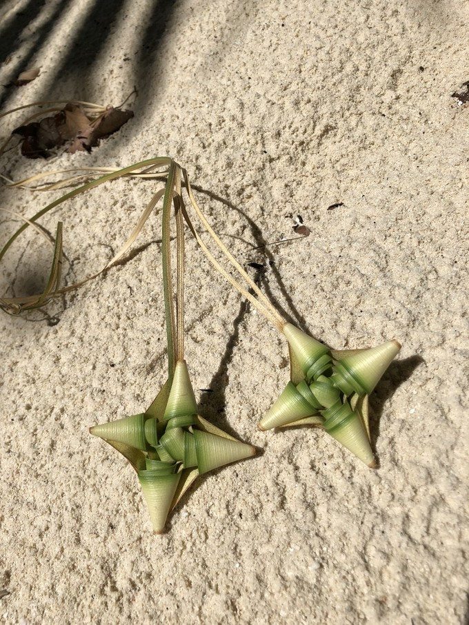 马尔代夫robinsonclub,马尔代夫robinson