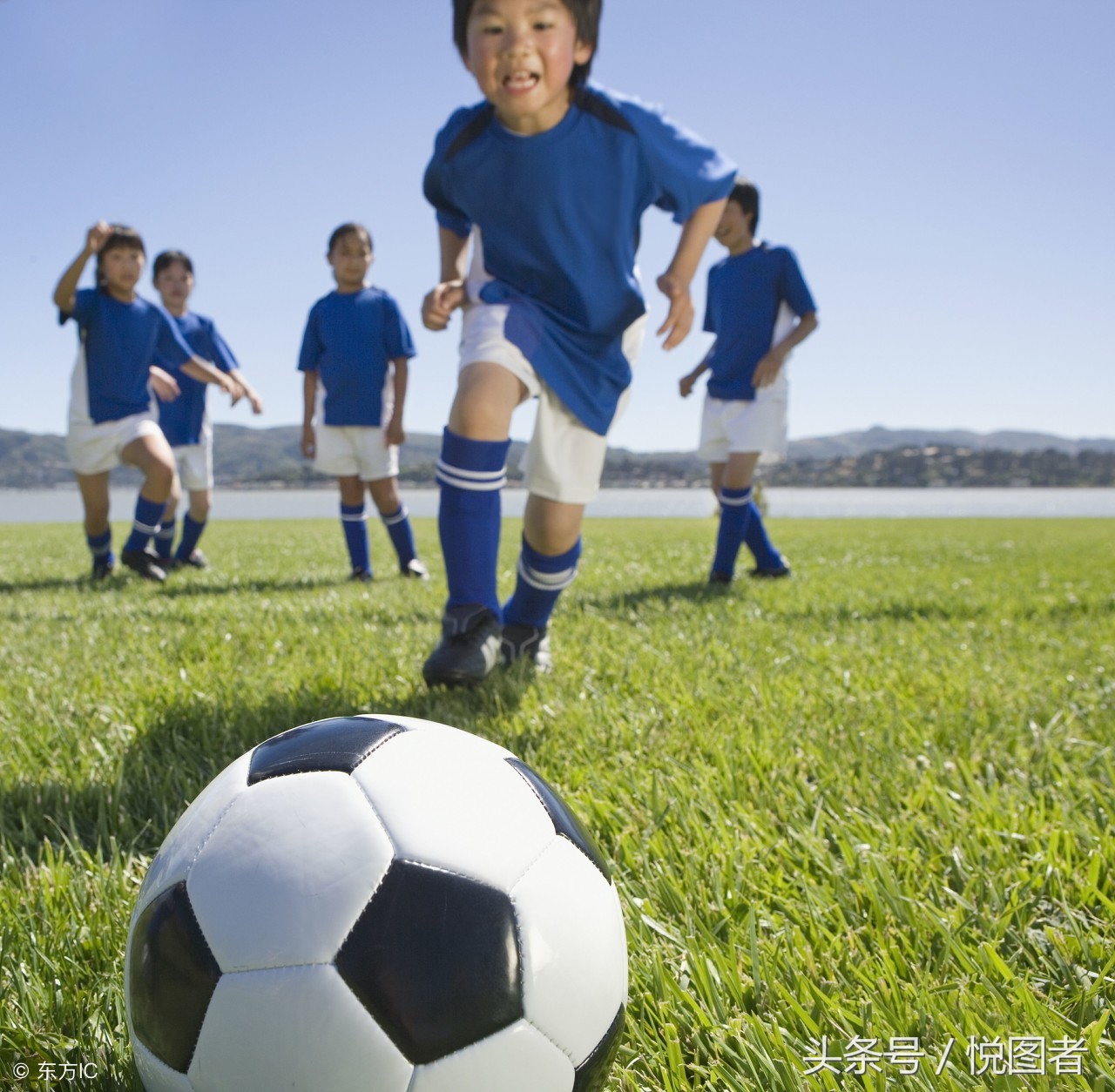 足球知识进阶,足球专业知识培训心得