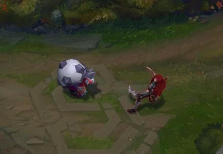 金靴李青,金靴李青多少钱