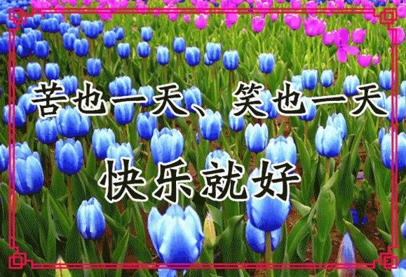 这份群祝福编得太好了吧！快送给群友们乐一乐！