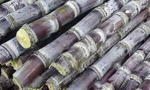 最难剥水果的方法,最难剥的五种水果