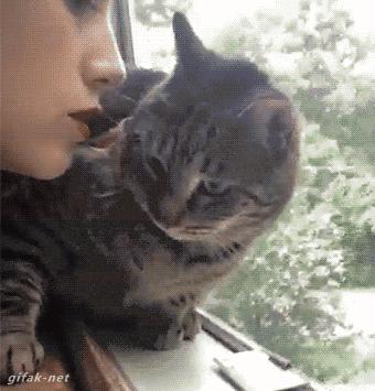 女人气若幽兰是怎么回事,女人气若幽兰形容什么