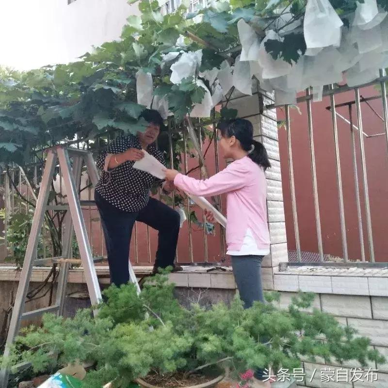 这两个女孩……万万没想到啊！