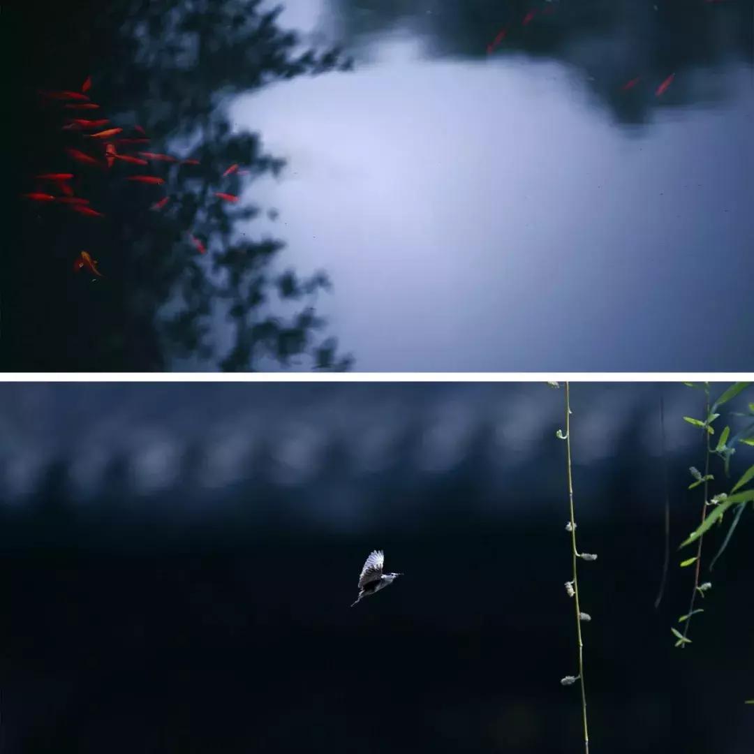 心若无物万般取舍皆自在,心若平和万般轻松自在