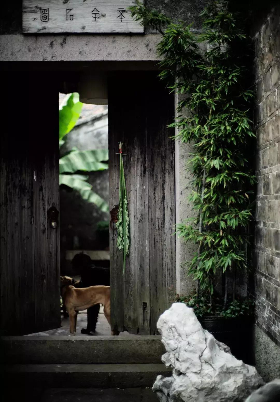 心若安怡万般自在,心若安然处处静美