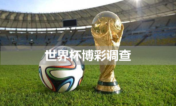 世界杯彩票恶劣事件,世界杯违规彩票