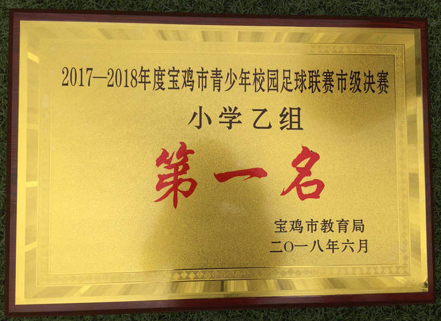 宝鸡市眉县东关小学足球队,踢球吧少年强名单