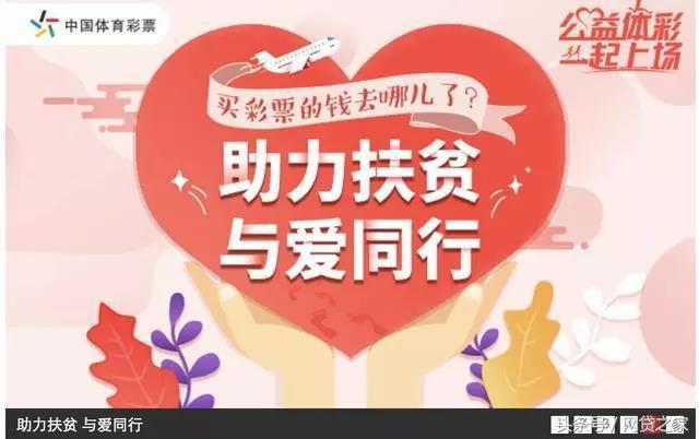 世界杯为什么不能买彩票,世界杯什么时候开始买足彩