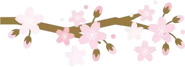 检察心语｜检察官爸爸和法官妈妈的爱情故事