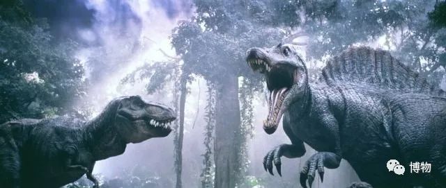 特暴龙为什么是恐龙最强的,暴龙跟霸王龙有多像