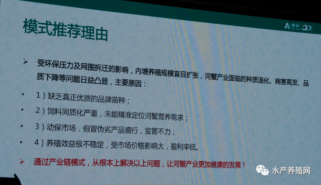 澳华总裁,澳华集团董事长许愿斌