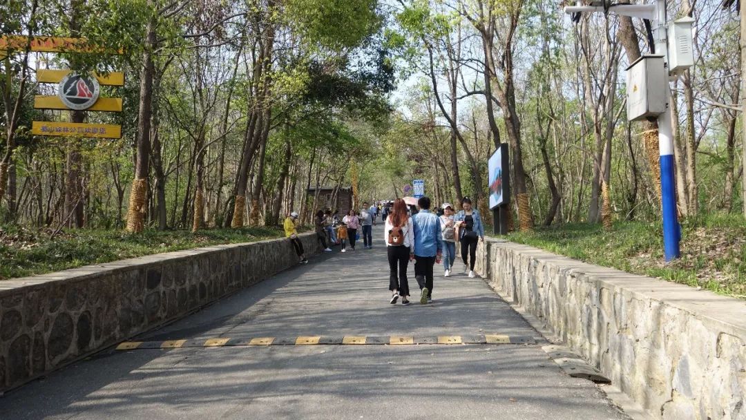 时光游合肥,时光旅行图集