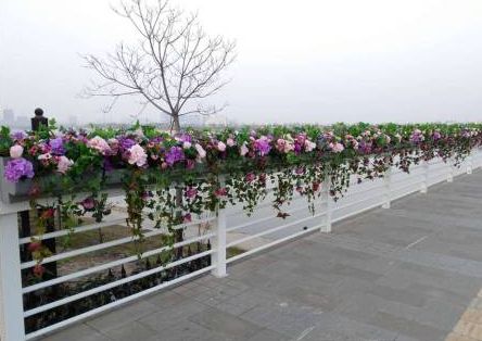 为美丽的南阳打call,为美丽西安加油