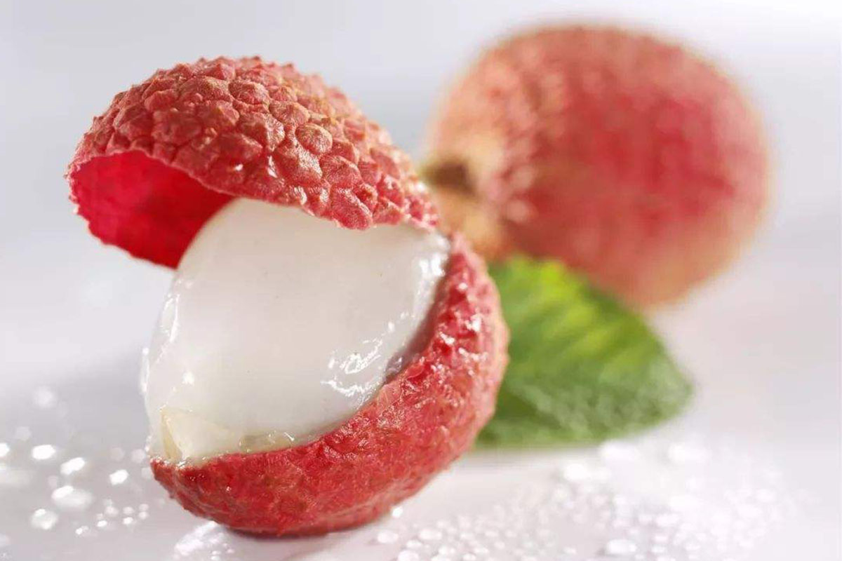 荔枝树被踩断,荔枝被踩坏