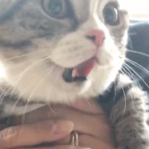 平价好物分享贫民窟女孩必入零食,贫民窟少女100元以内好物推荐