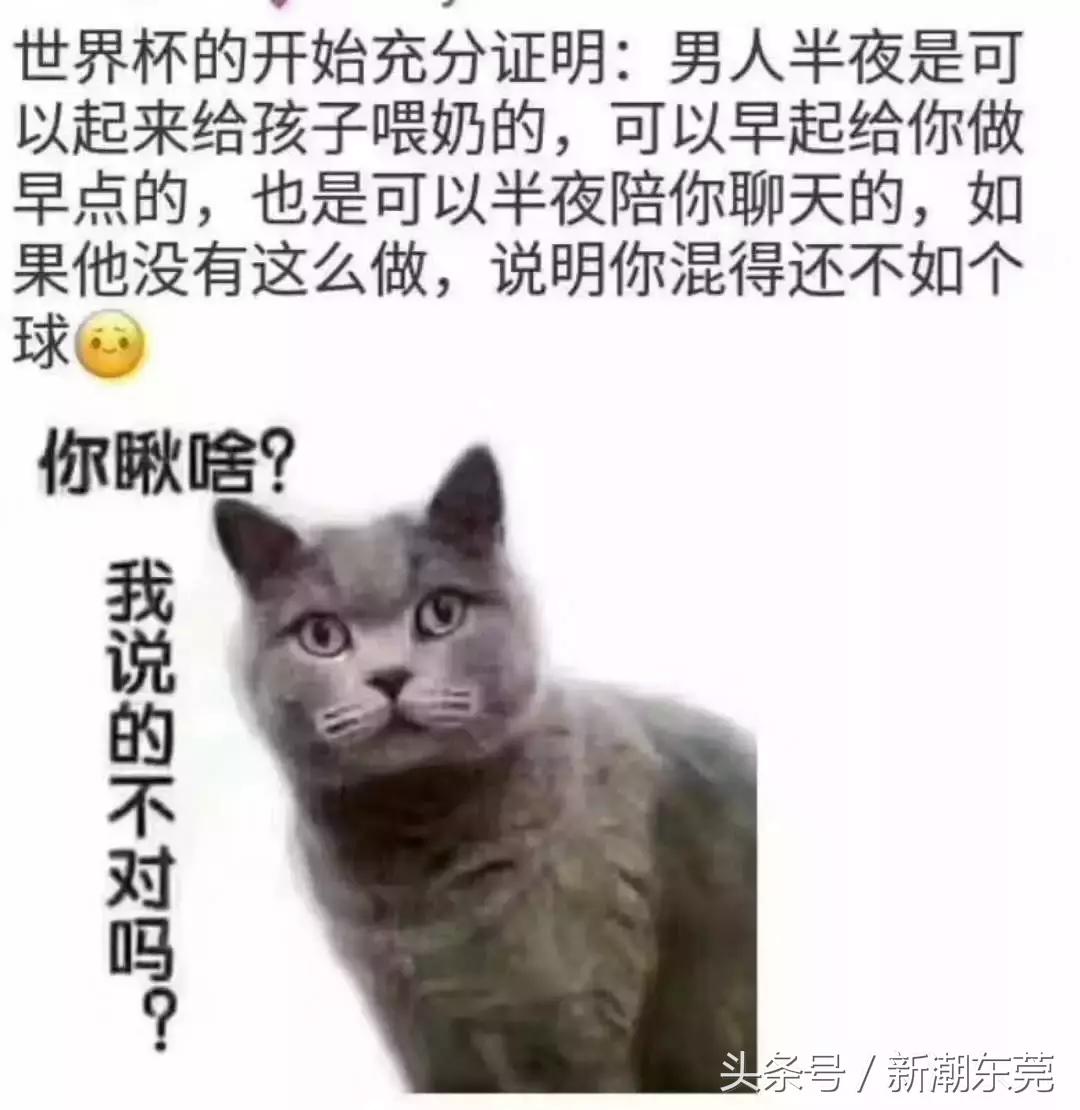 这就是你老婆熬夜看世界杯的理由！哈哈哈哈哈哈