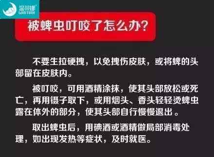 蜱虫咬人高发期,如何预防蜱虫伤人