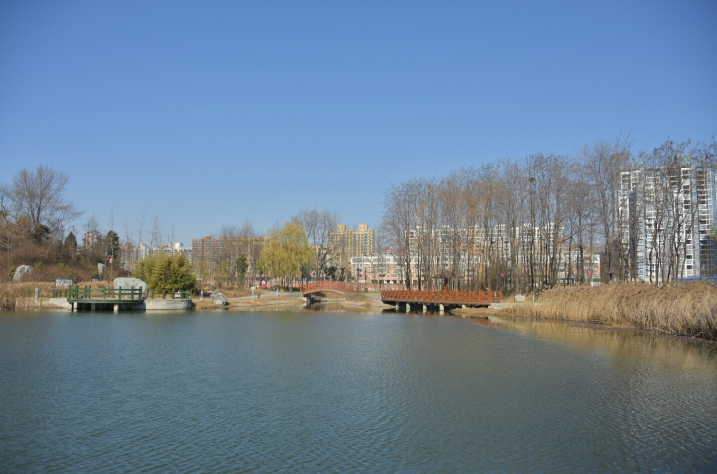 2022河南高考志愿填报哪个网站,2023河南高考志愿填报几个学校