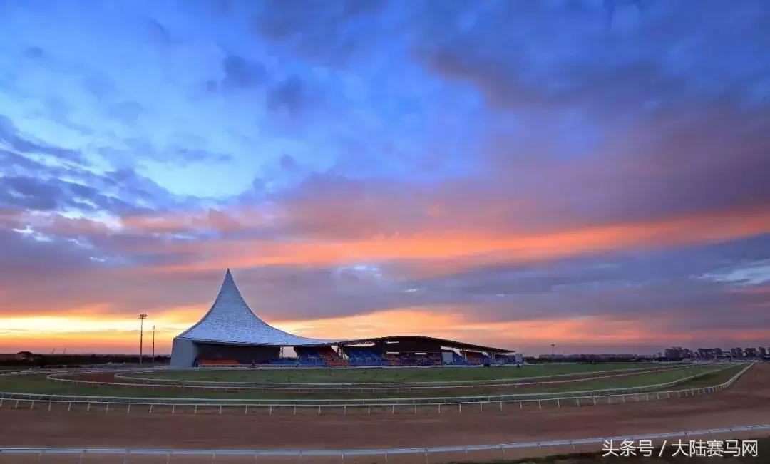 伊泰大漠鄂尔多斯金杯赛火爆来袭！开启“三杯一节”品牌赛马序幕