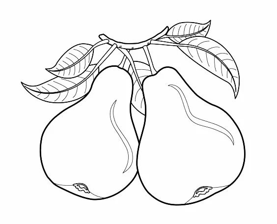 儿童简笔画蔬菜和水果,多吃水果蔬菜简笔画