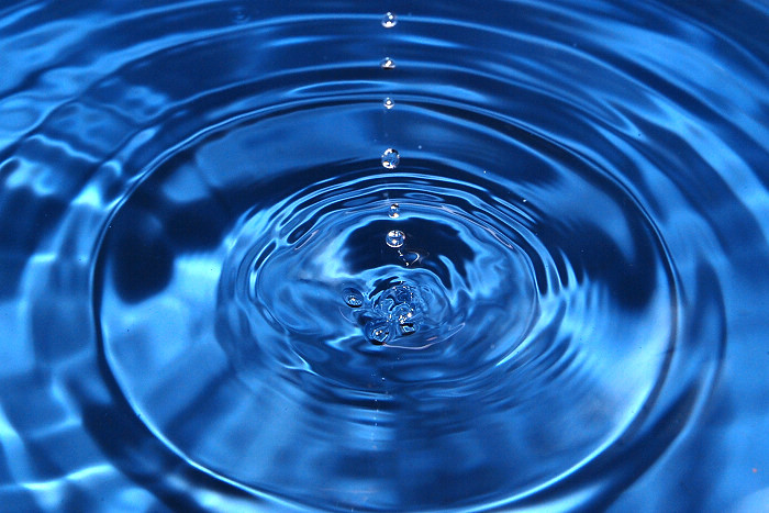 放假回家学校的植物要浇水咋办,大学生放暑假养的植物怎么办