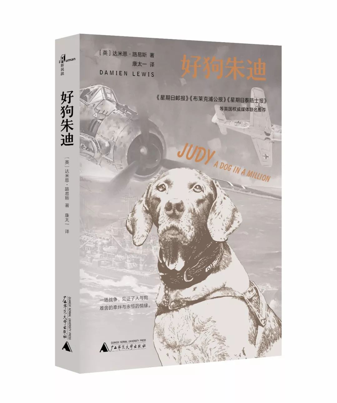 不期而遇经典小说,不期而遇原小说