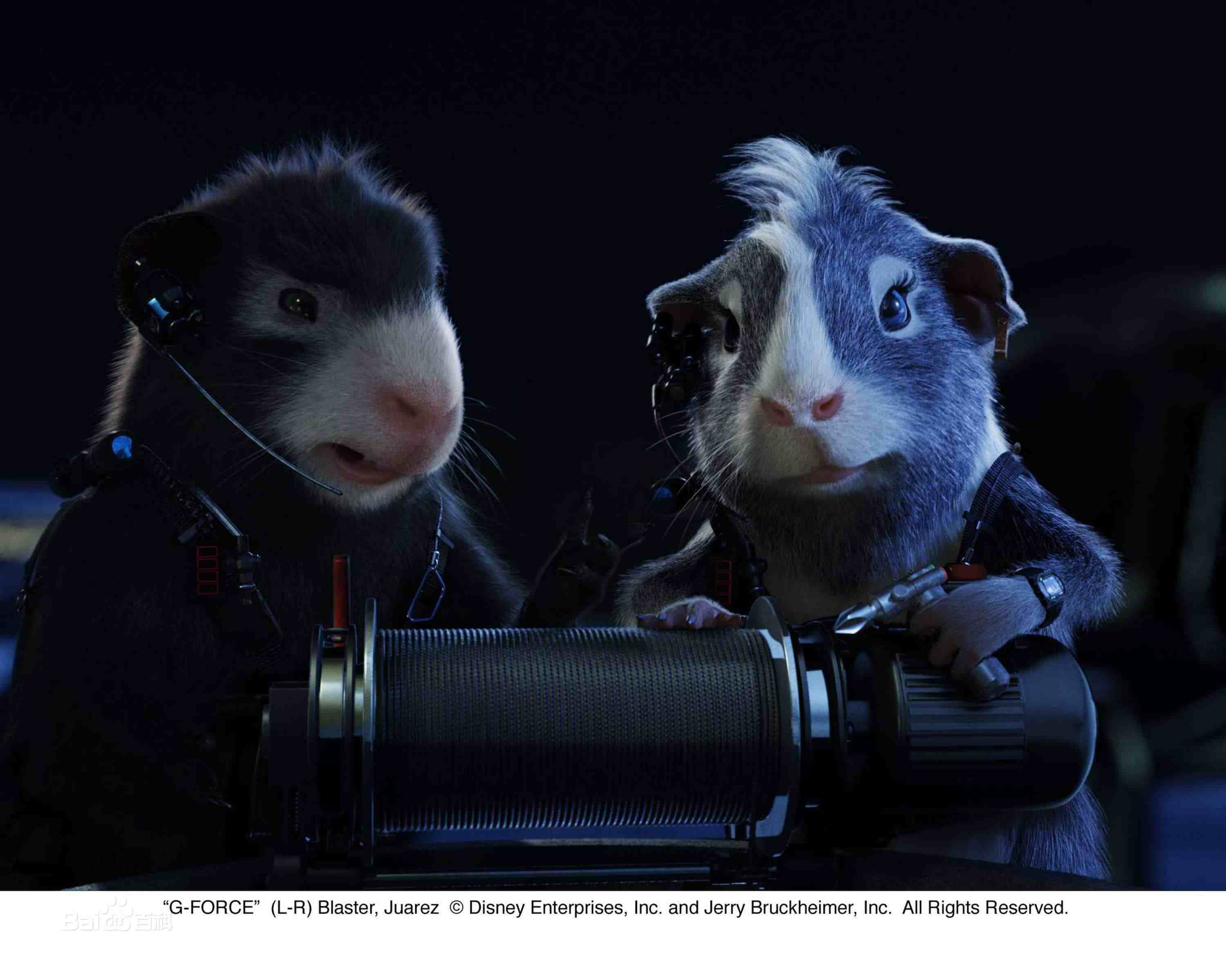 1996属鼠2023年运势,属鼠的人婚姻和运程怎么样