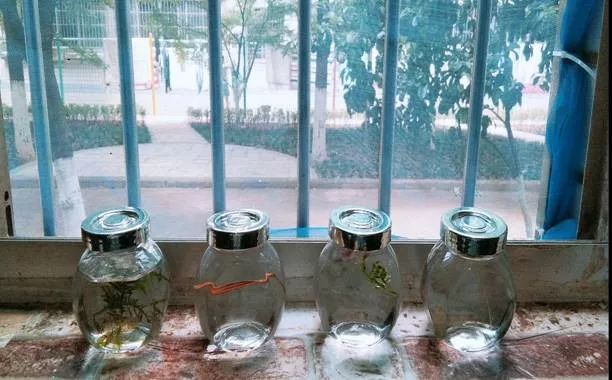 林科大寝室不升个级怎么好好看世界杯