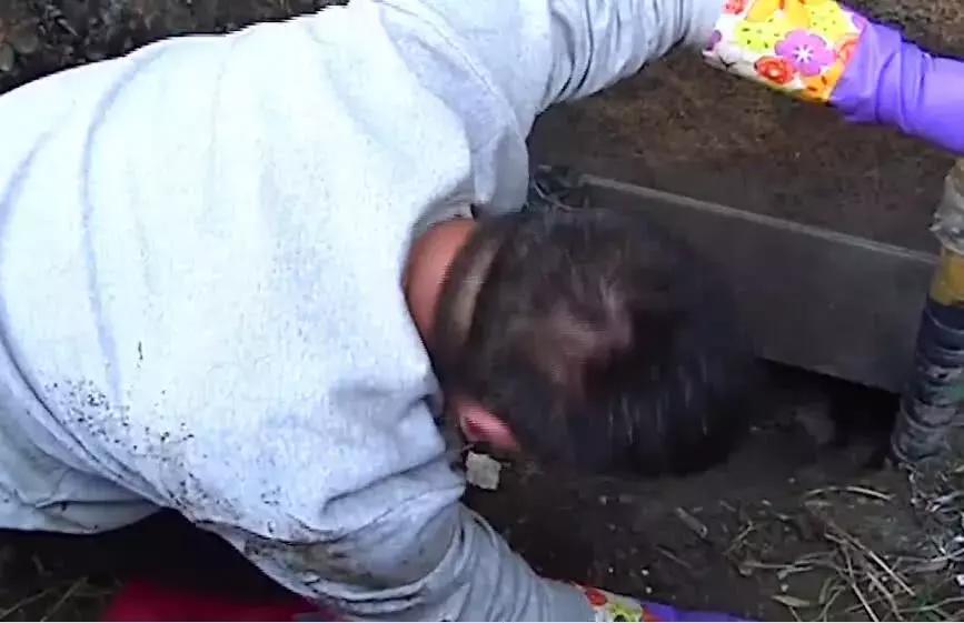 母狗将幼崽藏在下水管里,母狗总是把狗仔藏起来