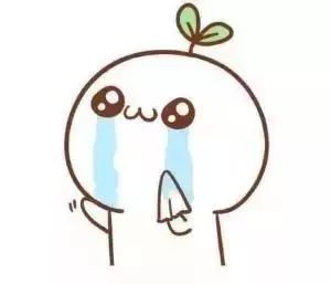 蚊虫叮咬夏天怎么消灭,夏天被蚊虫叮咬时用什么迅速止痒