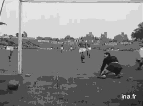 世界杯冷知识100个,世界杯里有哪些科学知识