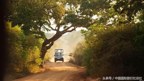 与中国互签免签证国家,阿联酋签证免签国家有哪些