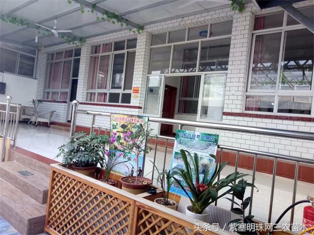 梨木台风景区顺缘农家院,天津蓟县梨木台顺鑫缘农家院