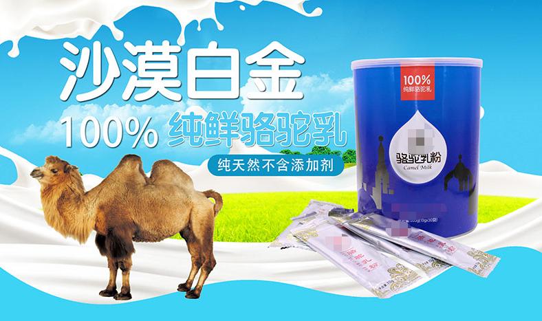 骆驼奶价格是多少,骆驼奶和羊奶哪个价格高