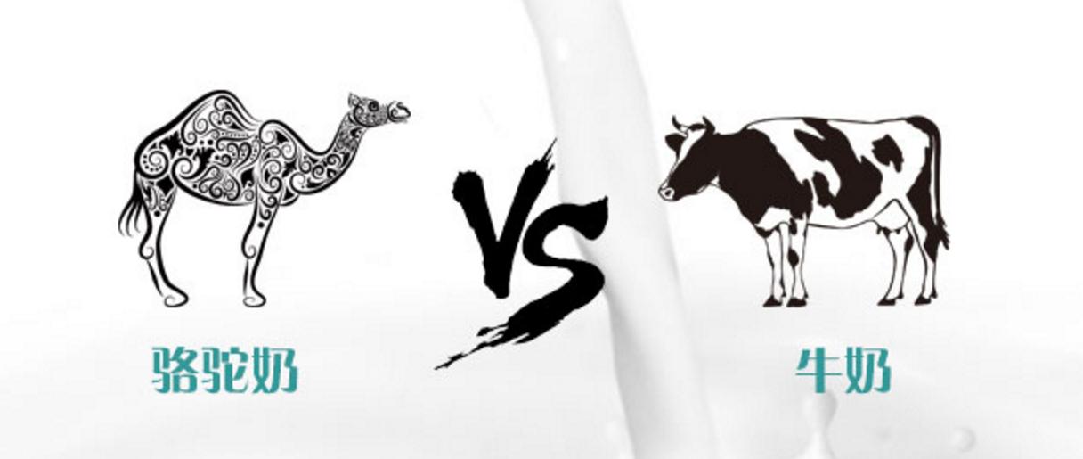 骆驼奶对糖尿病好是真的还是假的,骆驼奶治疗糖尿病真的假的