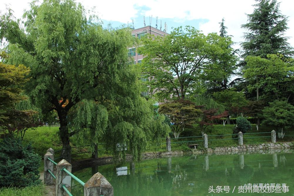 填志愿选贵州专科学校建议一下,贵州文史类大专院校