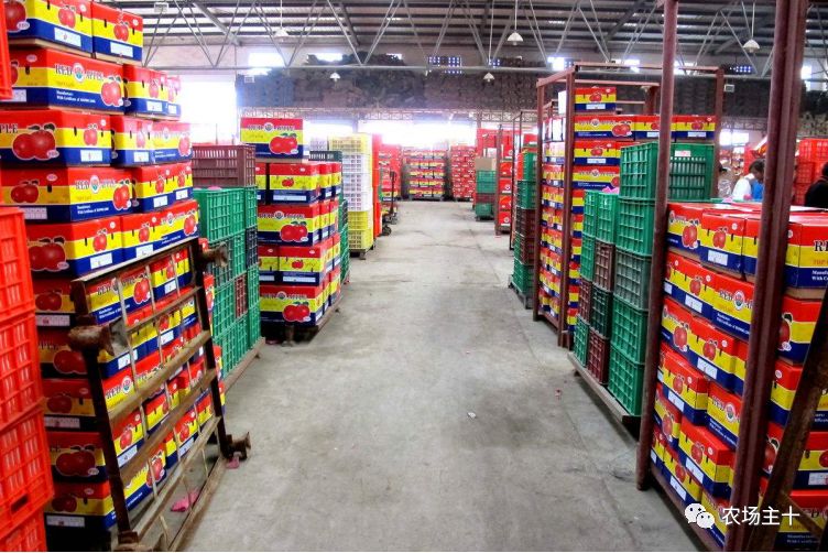 我想在农村建个冷库有前景吗,想在农村建个冷库