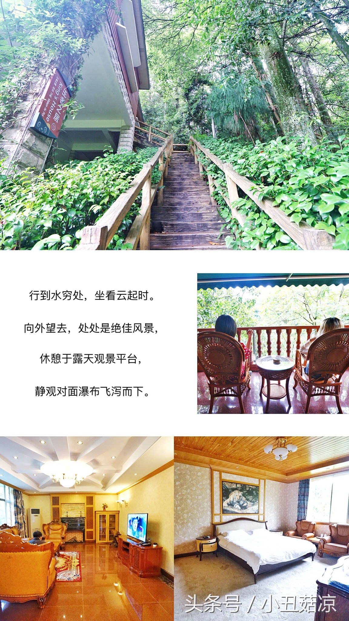 前方高能！疯狂动物城有猛兽出没，请保管好自己的小心脏！