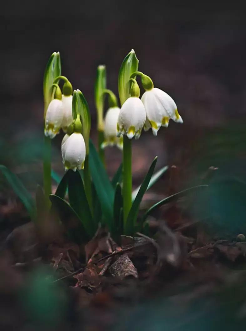 做个花心的女人视频,做个花心的女人歌曲