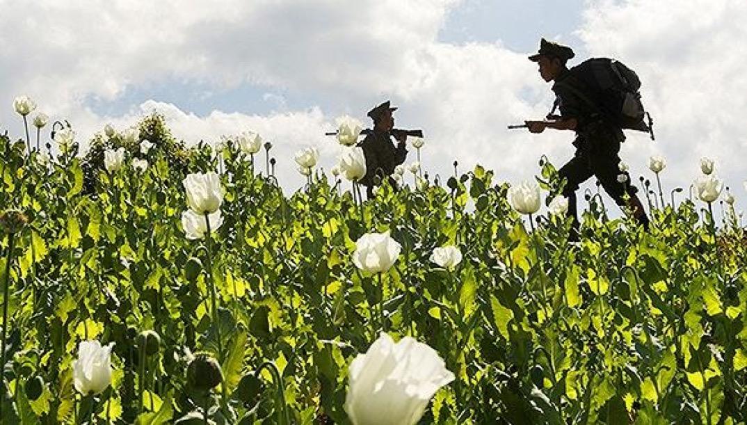 中国毒情形势报告发布,中国毒品形势报告2014