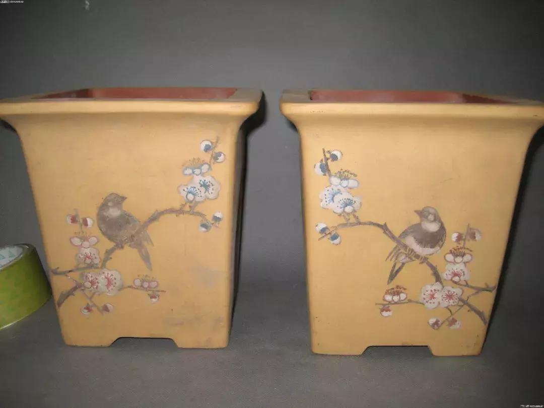 自己在家就能学会的花盆,不要花盆怎么养花