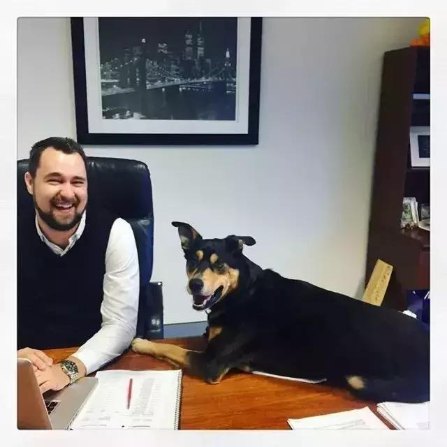 “带狗上班日”这只警犬就带着它的宠物狗狗来上班了……