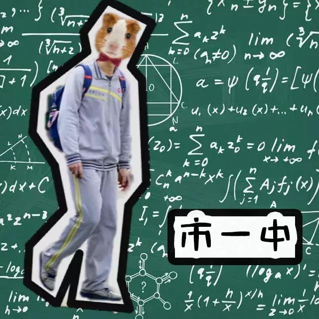 天津各学区的校服,天津市各个学校校服