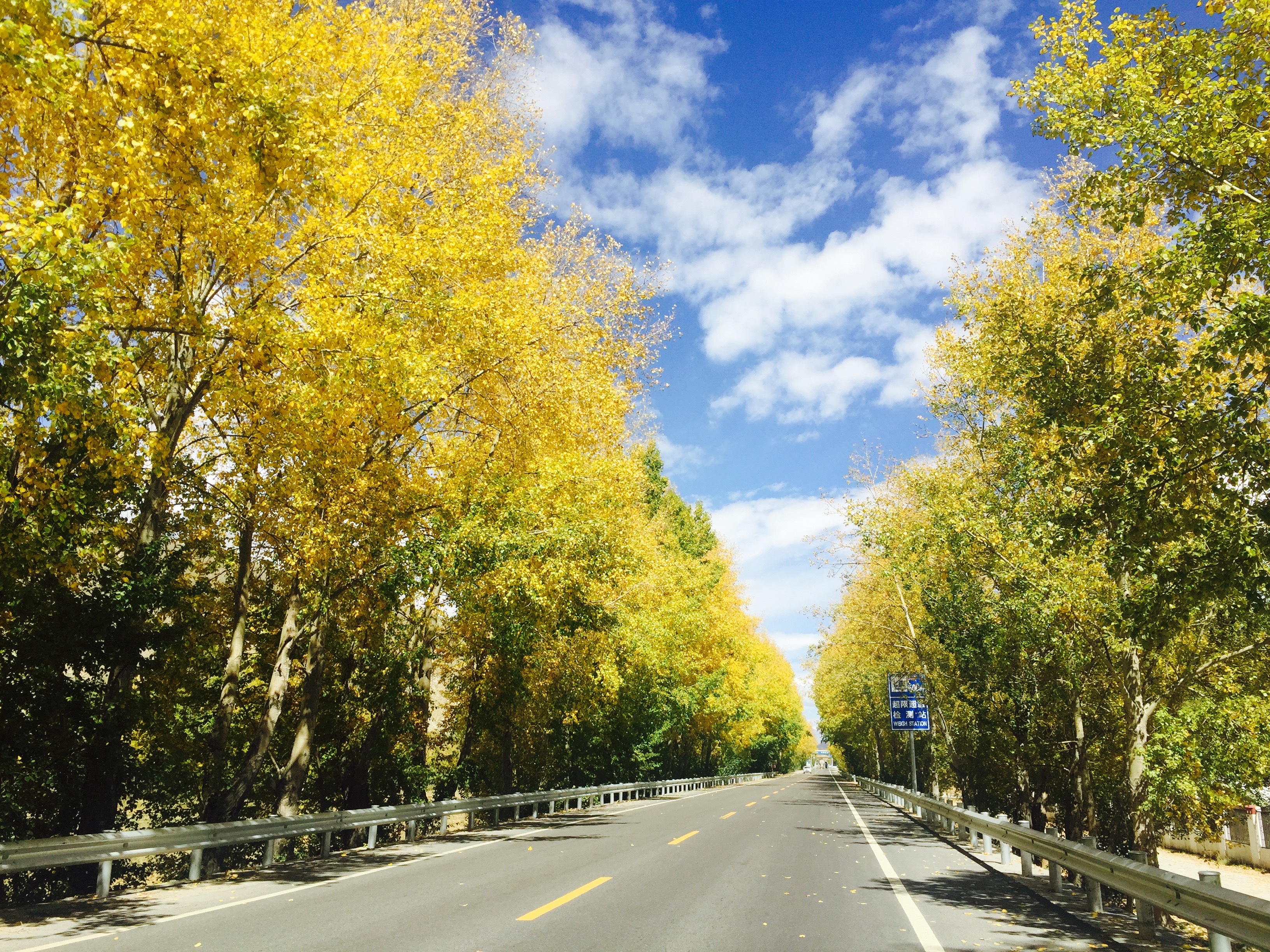 318川藏南线和317川藏北线地图,川藏南线和川藏北线有多少公里