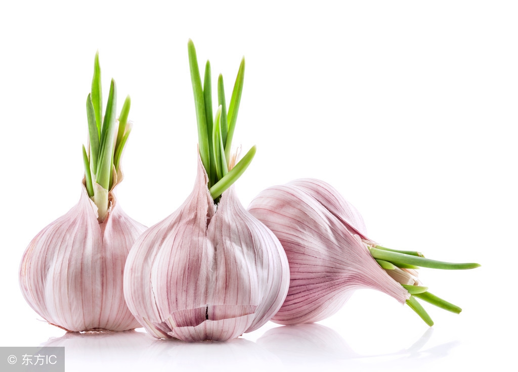 大蒜价格多少钱一斤？6月26日各地大蒜价格最新行情