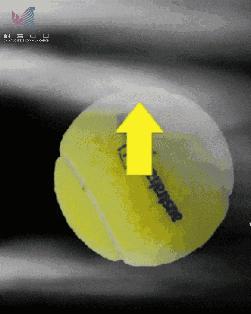 俄罗斯世界杯点评,香蕉球世界杯